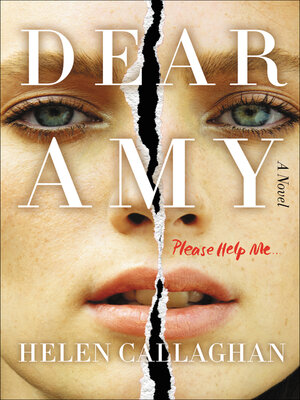 cover image of Dear Amy